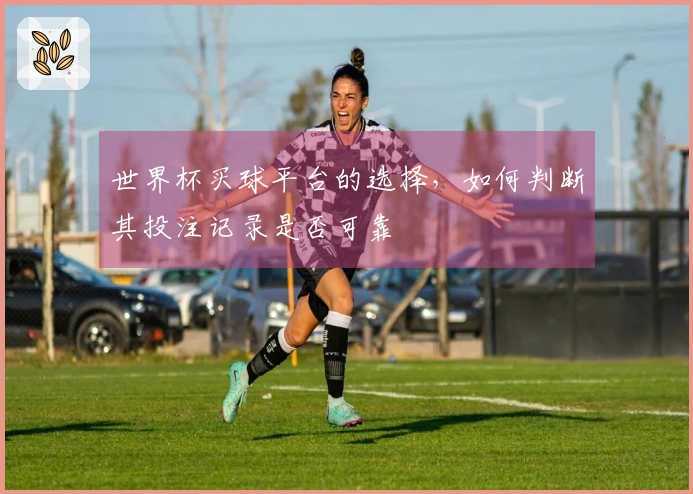 世界杯买球平台的选择，如何判断其投注记录是否可靠
