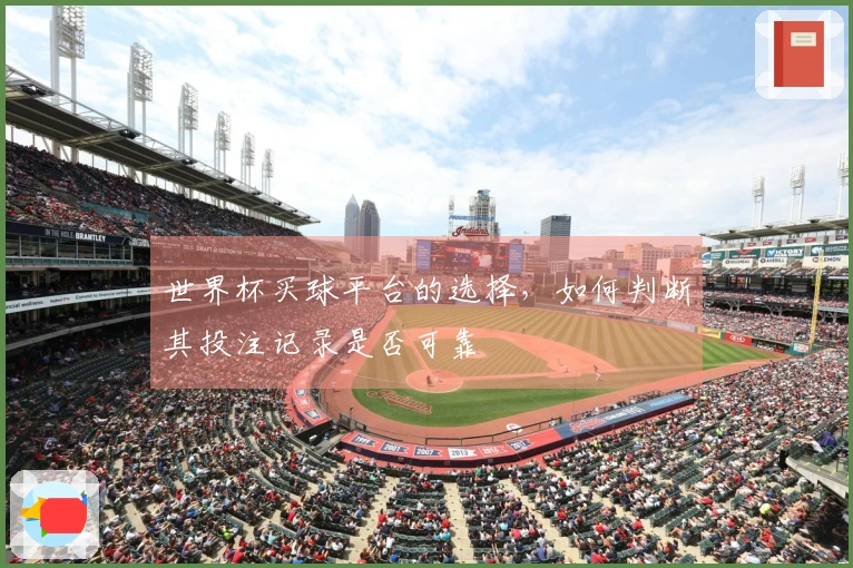世界杯买球平台的选择，如何判断其投注记录是否可靠